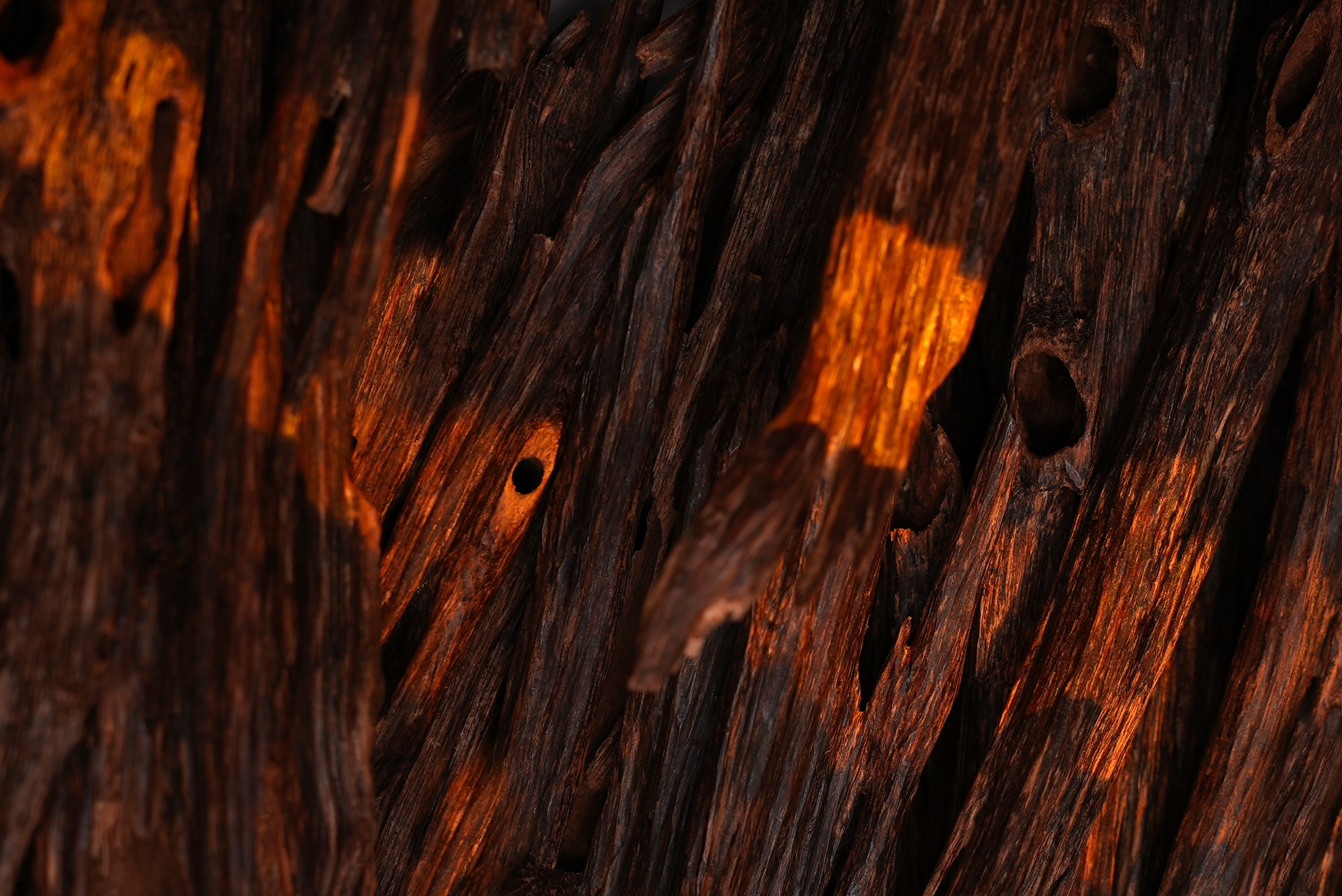 slider image 1621243260e1af0c20-0